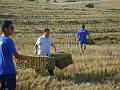 Preparazione campo (6)